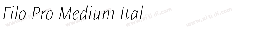 Filo Pro Medium Ital字体转换